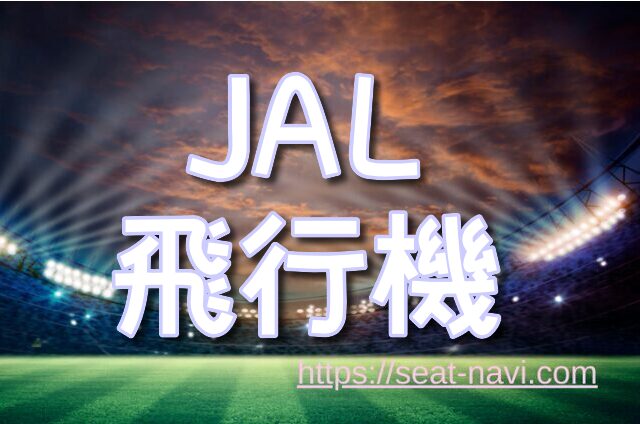 国内線 JAL 飛行機